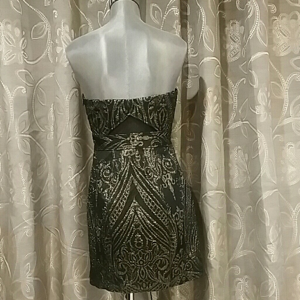 Express Dress - Picture 3 of 8